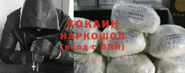 индика Нефтегорск