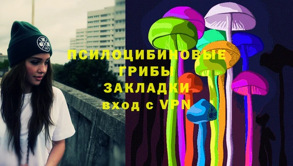 индика Нефтегорск