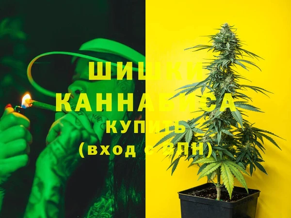 индика Нефтегорск
