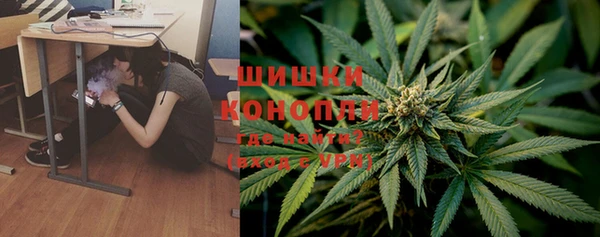 индика Нефтегорск