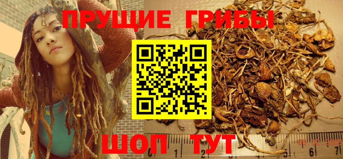 купить  цена  Галлюциногенные грибы Magic Shrooms  Вход с VPN  Родники 